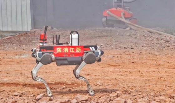 應急使命2024